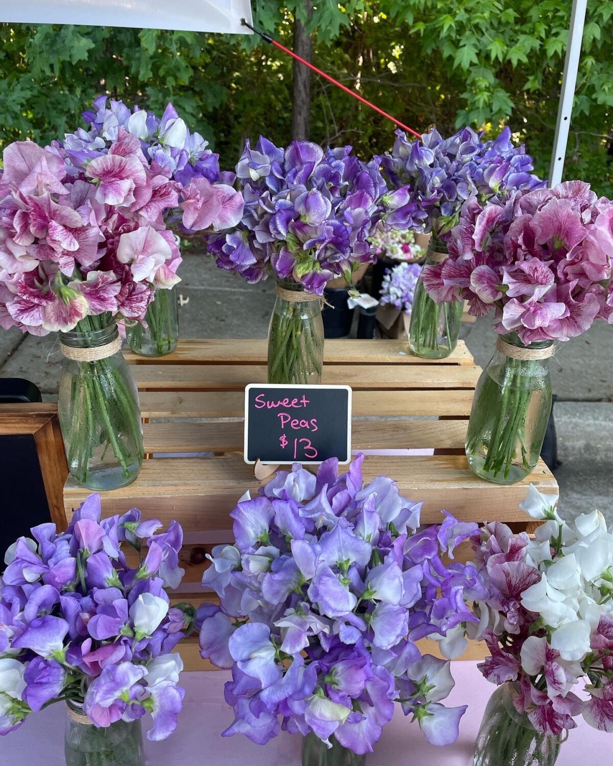 Sweet Peas